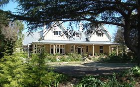 Shady Pines Guesthouse