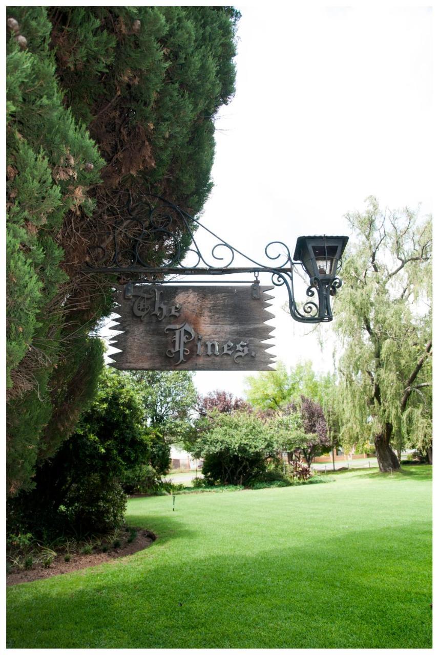 Shady Pines Guest House Harrismith Exterior photo